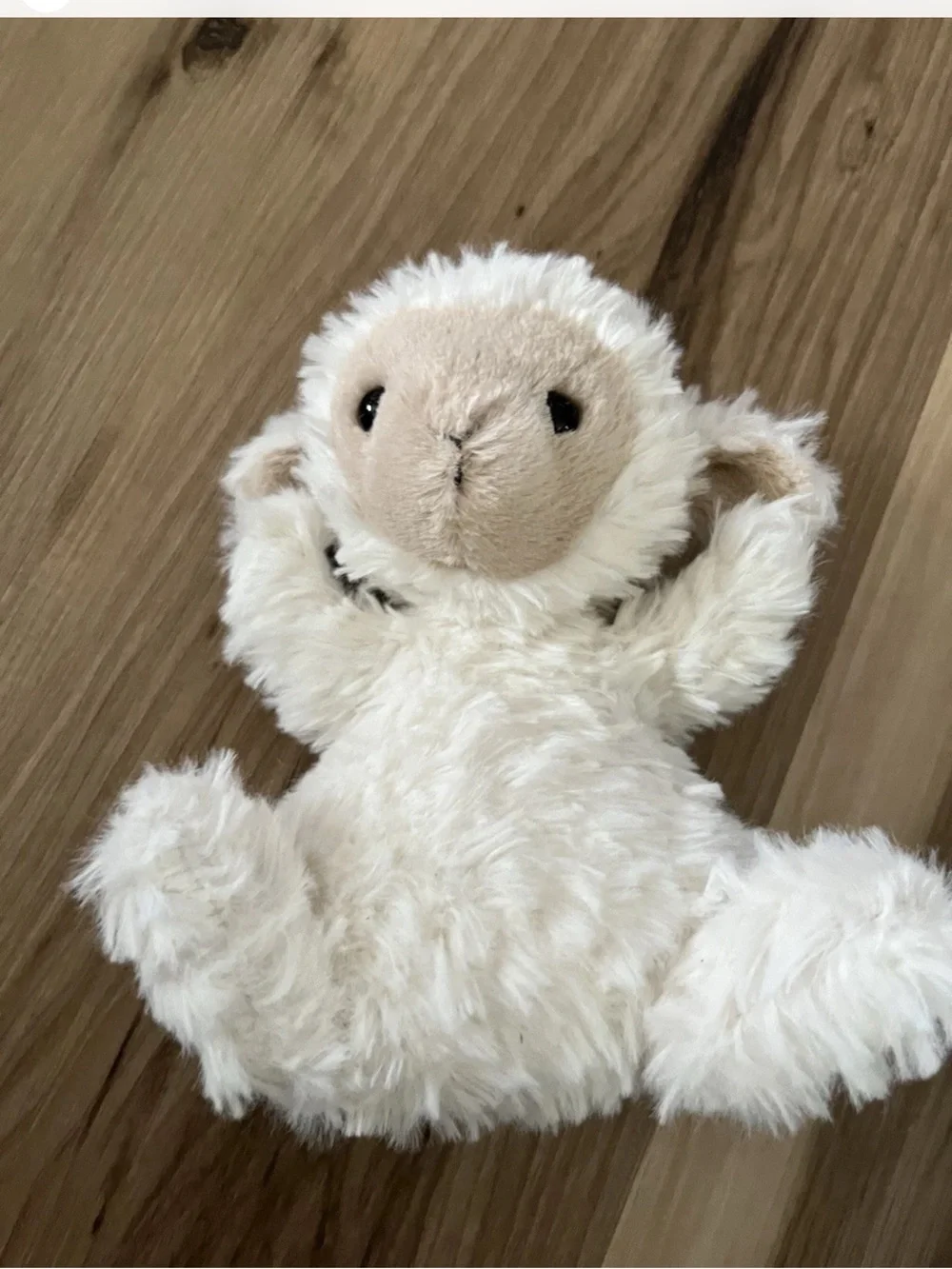 Authentic Jellycat Little Lamb 6”
